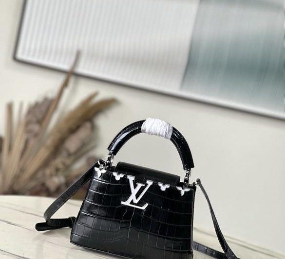 LV Replica Bags Hat N93419 21x14x8cm.