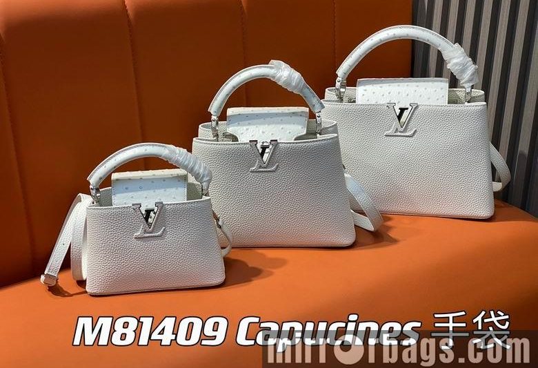 LV Replica Bags Hatucines M81409 21x14x8cm3