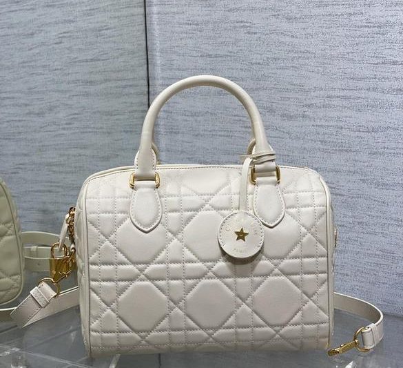 Dior Replica Bags Groove 25x19x16cm wo