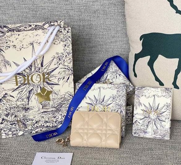Dior Replica Bags s0985 12X8.5cm YG 3