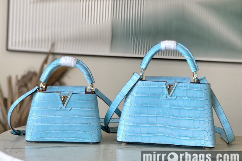 Replica LV Bags Cap N93163 21x14x8cm gf5