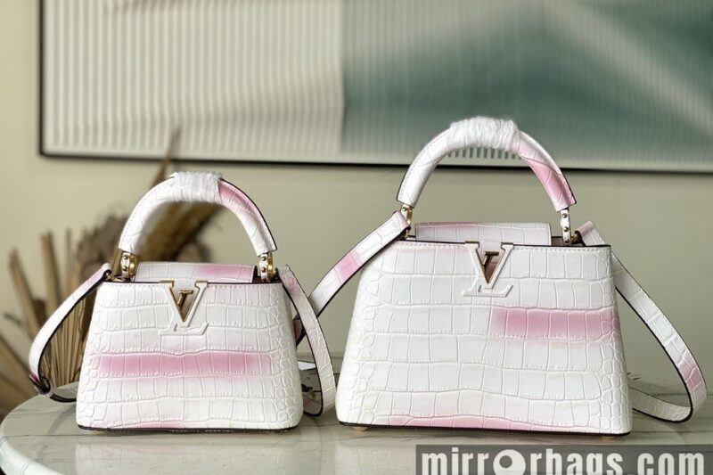 Replica LV Bags Cap N93163 21x14x8cm gf3