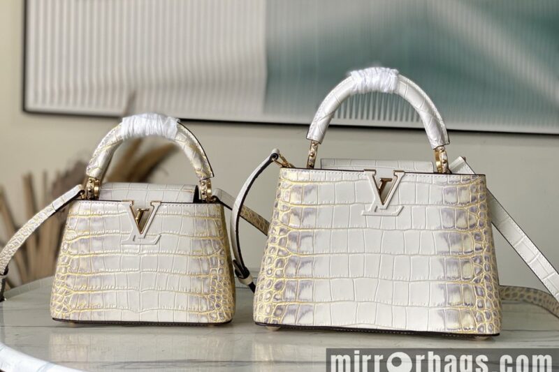 Replica LV Bags Cap N93163 21x14x8cm gf2