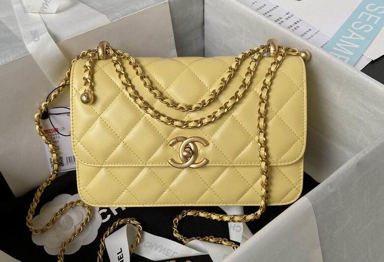 Chanel Replica Bags AS2649 22X14.5X8cm BL 2colour