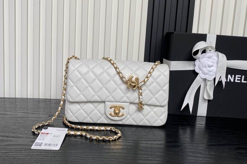 Replica Chanel Bags AS5756 14.5×23.5x7cm XZ2