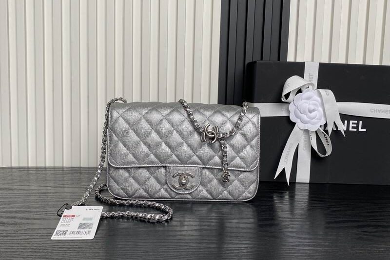 Replica Chanel Bags AS5756 14.5×23.5x7cm XZ4