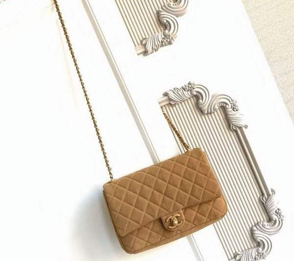 Replica Chanel Bags AS5987 18x26x7cm XZ4