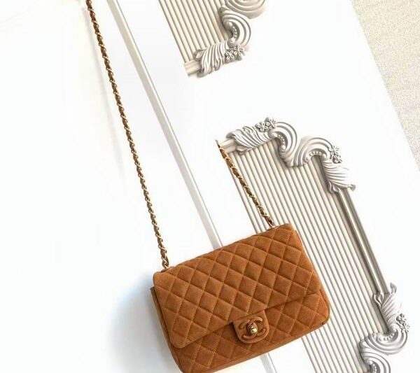 Replica Chanel Bags AS5991 17x24x7cm XZ3